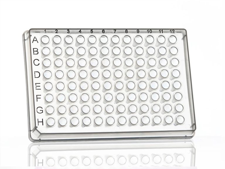 Azenta 96 Rack Azenta 96 Well Skirted Clear PCR Plate, 50 plates - meslo