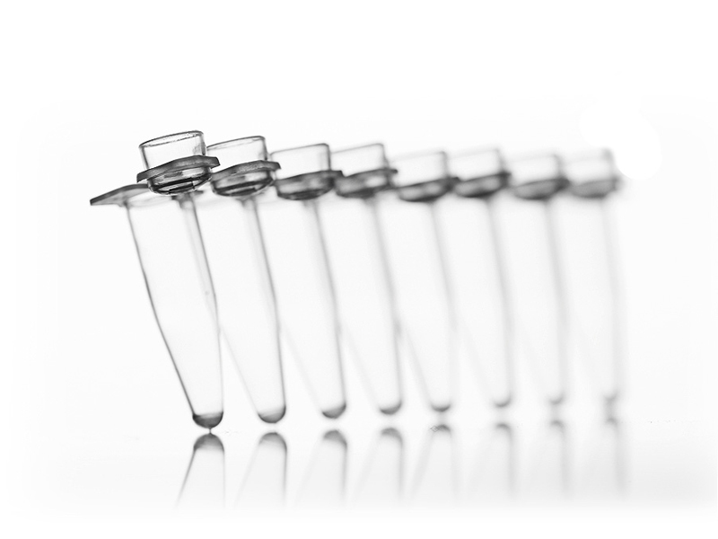 Azenta 8 Well PCR 0.2 ml Tube Strips, With Attached Domed Caps - Image 1